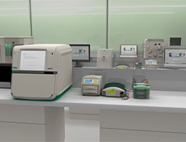 V3 Western Workflow c ChemiDoc MP