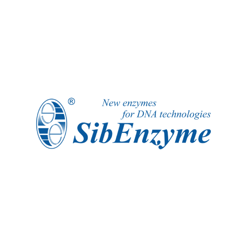 Вектор pUC19 для клонирования