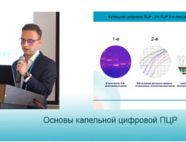 Основы цифровой капельной ПЦР