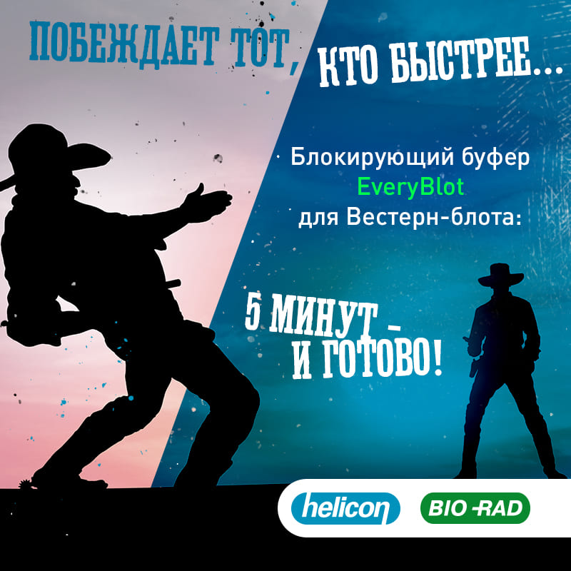 Хит любого вестерн-блоттинга