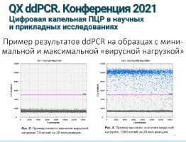 Количественный анализ РНК коронавируса в мазках из зева пациентов, госпитализированных с COVID-19