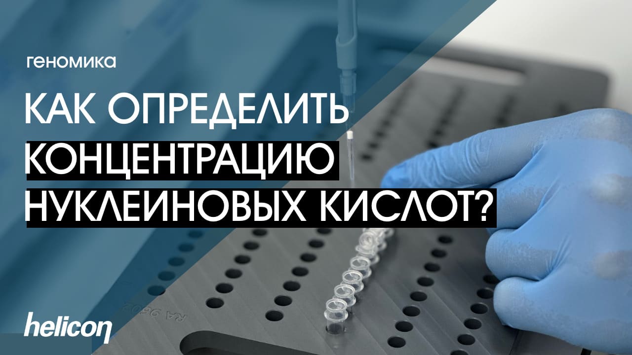 Как определить концентрацию НК? | БАЗА #5