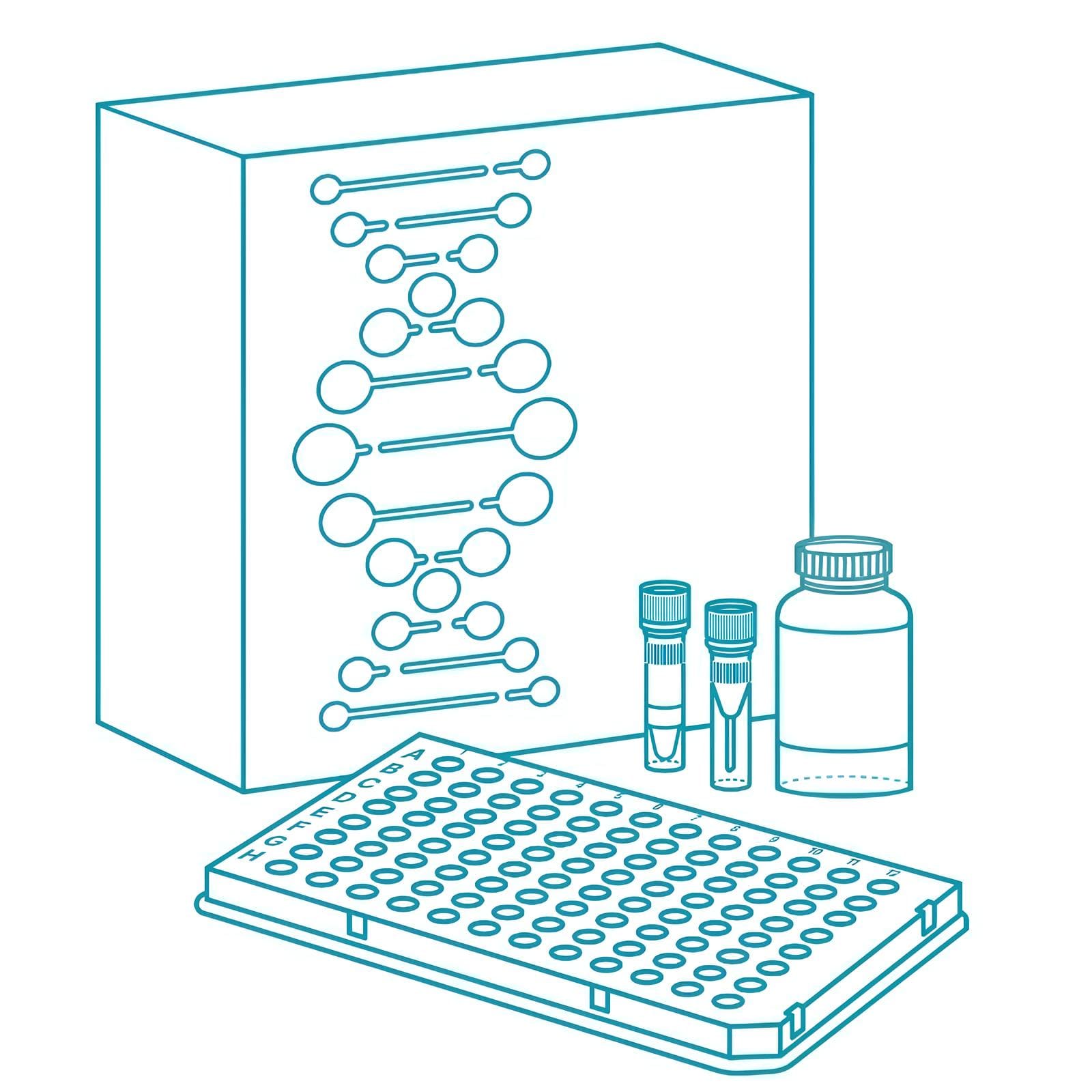 Набор для подготовки библиотеки малых РНК MGIEasy Small RNA Library Prep Kit