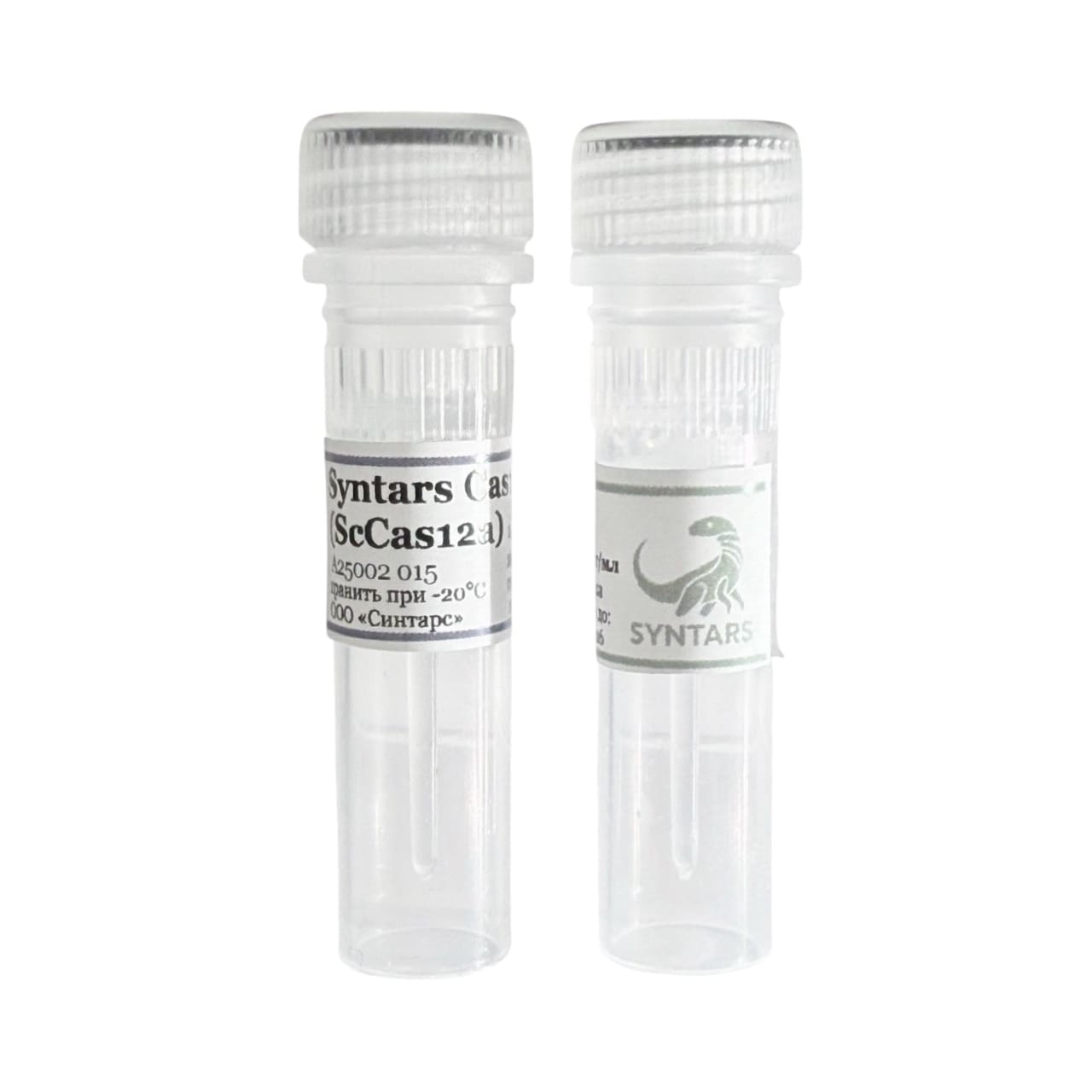 Белок-нуклеаза Syntars Cas12a