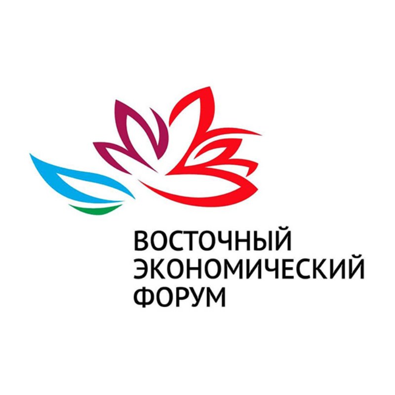 ВЭФ 2026