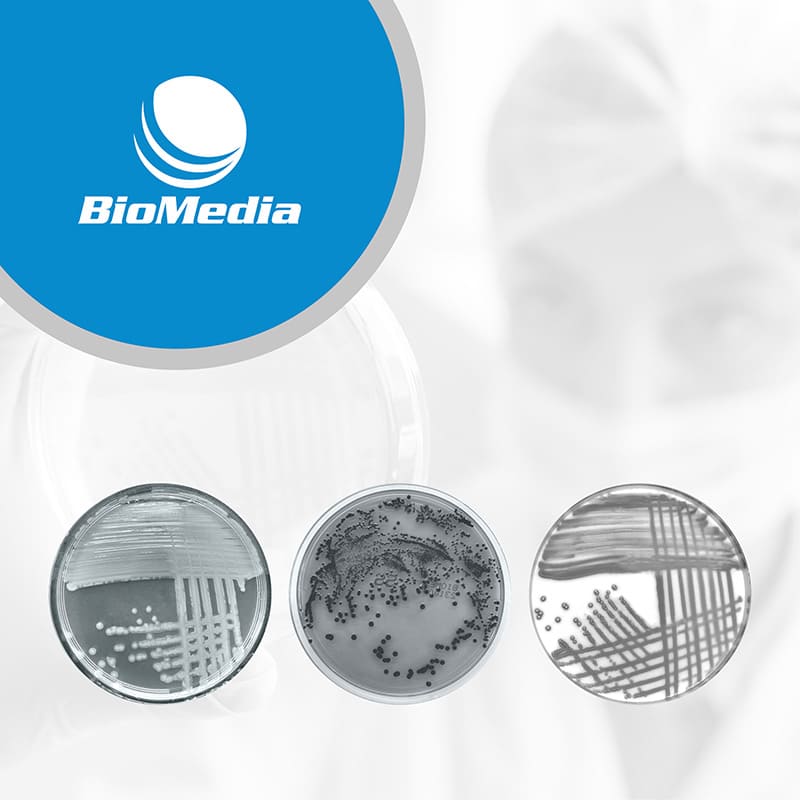Готовые питательные среды BioMedia для клинической микробиологии