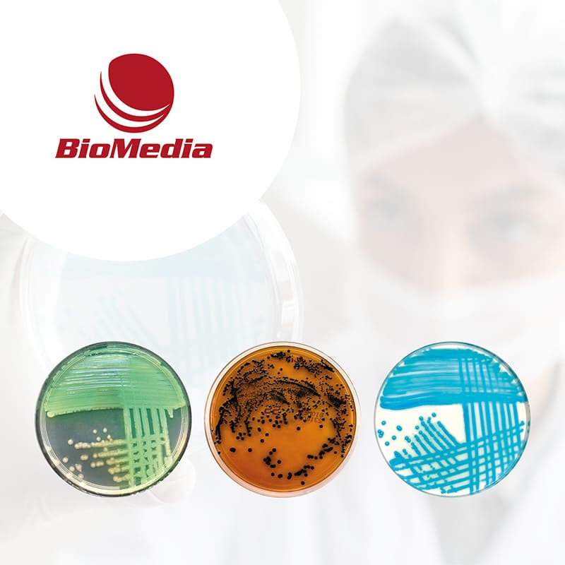 Готовые питательные среды BioMedia для клинической микробиологии
