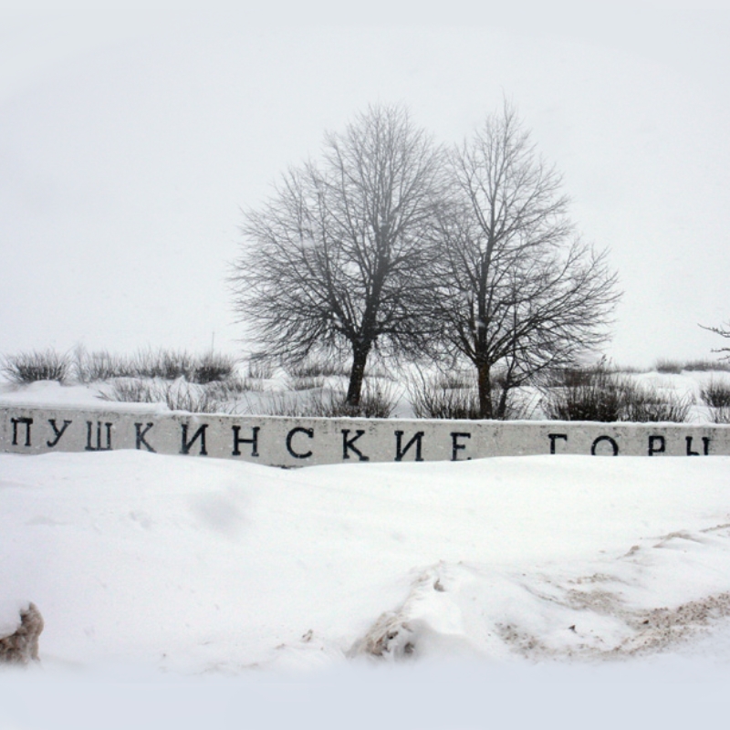 Инфекционная иммунология