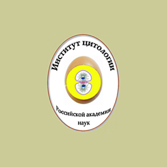 Структура и функции клеточного ядра
