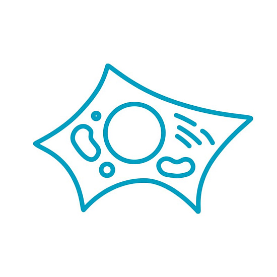 Вебинар «Общелабораторное оборудование в клеточной лаборатории»