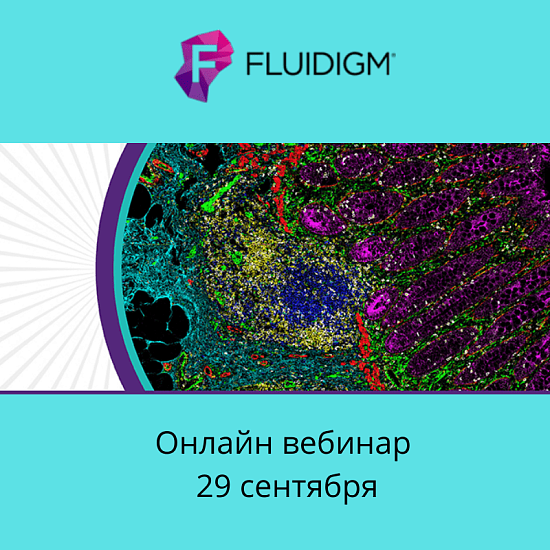 Создание виртуальных карт опухолей в 3D с применением современных технологий для помощи пациентам