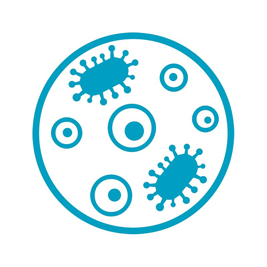 Актуальные проблемы микобактериальных&nbsp;инфекций