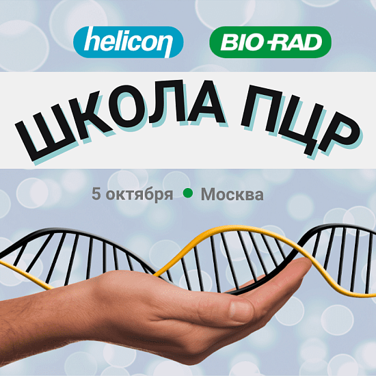 Школа ПЦР. Москва